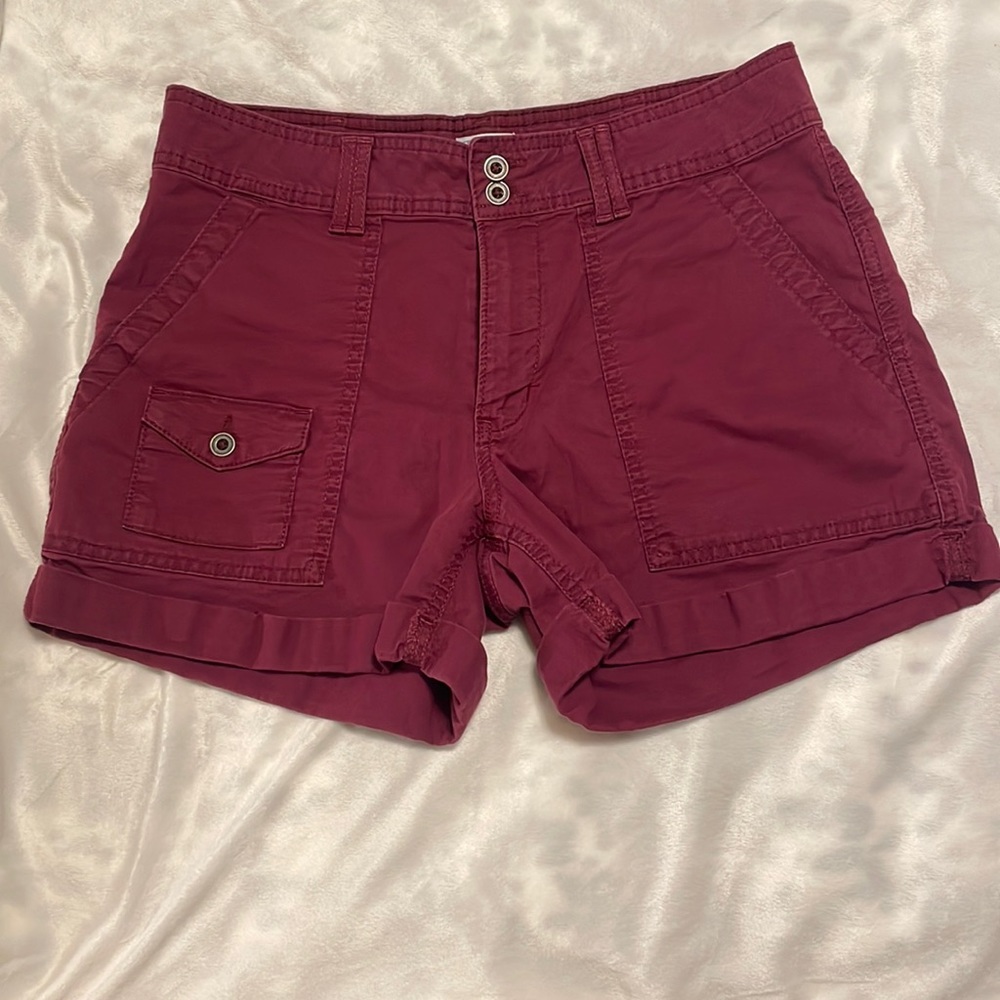 Time and Tru Shorts